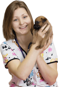 Онлайн-запись