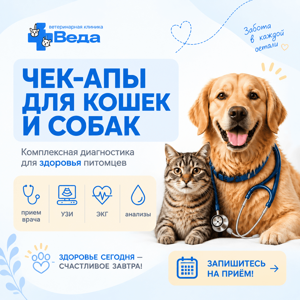 Комплексный чек-ап для кошек и собак в ветеринарной клинике «Веда»